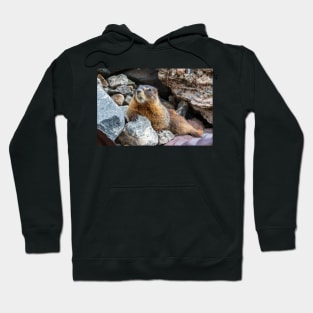 Smile for the Camera Hoodie